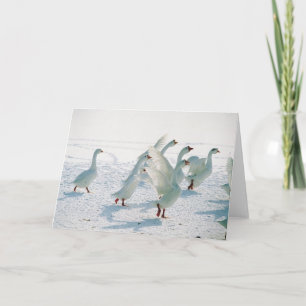 Cartão De Festividades Snow Geese Xmas Holiday Christmas Blank Inside