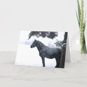 Cartão De Festividades Snow Horse