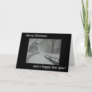 Cartão De Festividades Snow in Central Park
