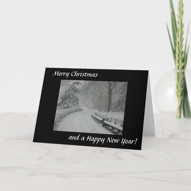 Cartão De Festividades Snow in Central Park (Frente)