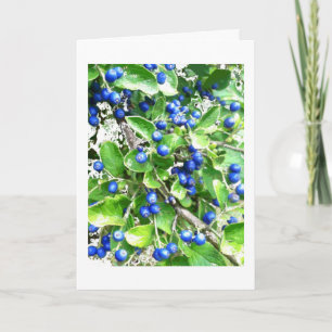 Cartão De Festividades Snow on Sapphire Berries Holiday Card