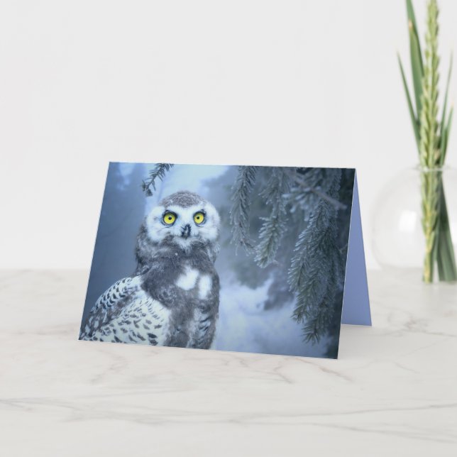 Cartão De Festividades snow owl greeting card (Frente)