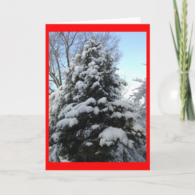 Cartão De Festividades Snow Pine (Frente)