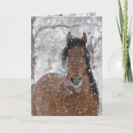 Cartão De Festividades Snow Stallion Horse Greeting Card