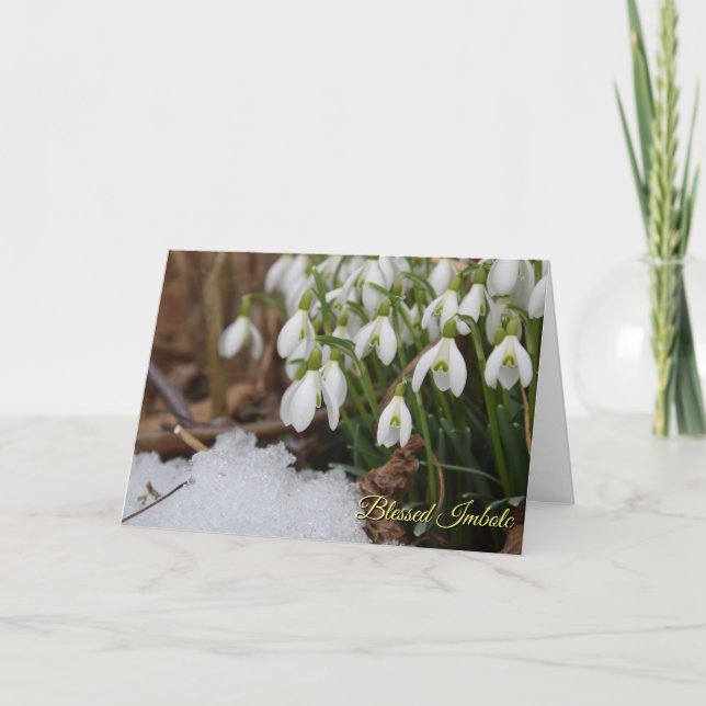 Cartão De Festividades Snowdrop Abençoado Imbolc Pagan Wiccan Saudação (Frente)