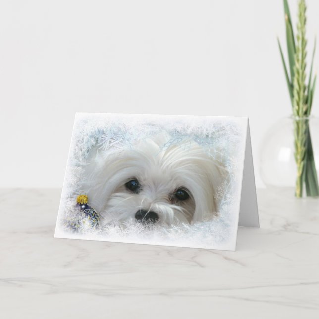 Cartão De Festividades Snowdrop the Maltese Christmas Card (Frente)
