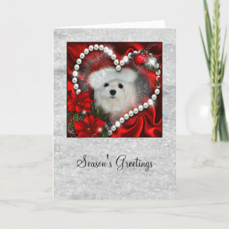 Cartão De Festividades Snowdrop the Maltese Christmas Card