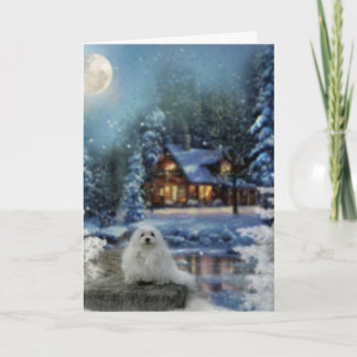Cartão De Festividades Snowdrop the Maltese Christmas Card