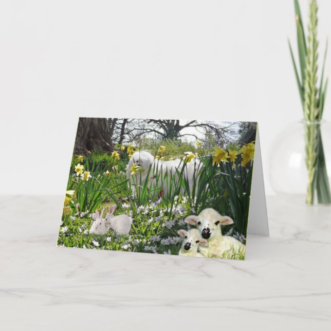 Cartão De Festividades Snowdrop the Maltese Easter Card (Frente)