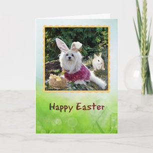 Cartão De Festividades Snowdrop the Maltese Easter Greeting Card
