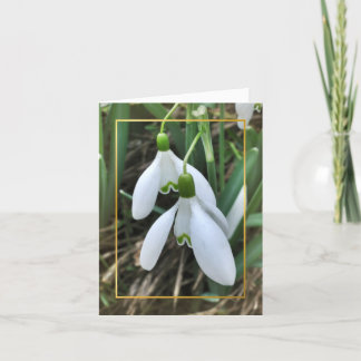 Cartão De Festividades Snowdrops with gold border