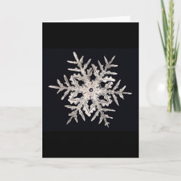 Cartão De Festividades Snowflake Bentley Genius Xmas Card