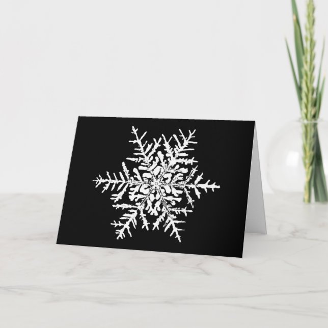 Cartão De Festividades Snowflake Wilson Bentley Xmas Card (Frente)