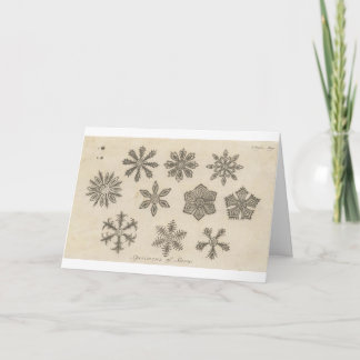 Cartão De Festividades Snowflakes - 1791