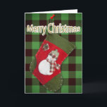 Cartão De Festividades Snowman Christmas Stocks Buffalo Xadrez<br><div class="desc">Este doce cobrir de Natal apresenta uma fotografia de uma meia vermelha e verde caseira com um adorável boneco de neve vestido com um lenço xadrez sazonal e um chapéu colocado sobre xadrez de búfalo verde. Personalize a saudação de dentro, remova qualquer texto ou clique em personalizar para selecionar um...</div>