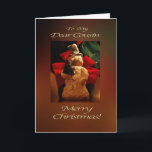 Cartão De Festividades Snowman Felry Natal - Primo<br><div class="desc">Dê um sorriso ao seu primo neste Natal com um cartão de saudação alegre e brilhante!!!  Quer você seja capaz de entregá-lo pessoalmente ou se você tem que estar a milhas de distância durante os feriados,  eles vão adorar esta imagem feliz!!!</div>