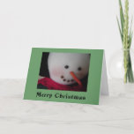 Cartão De Festividades Snowman Sorridente<br><div class="desc">Um sorriso sorridente salta da frente deste cartão de Natal!</div>