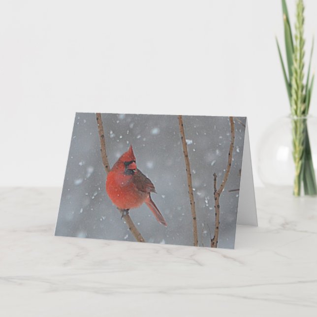 Cartão De Festividades Snowy Cardinal Christmas Card (Frente)