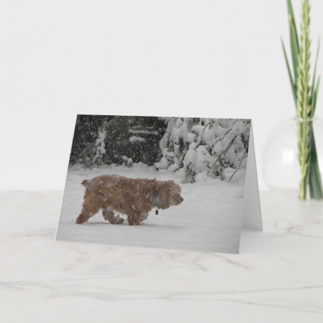 Cartão De Festividades Snowy Cocker Spaniel (Frente)