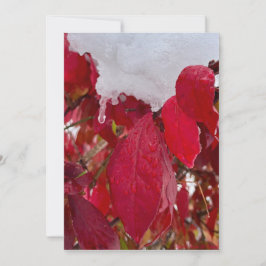 Cartão De Festividades Snowy Leaves