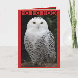 Cartão De Festividades Snowy Owl Christmas card