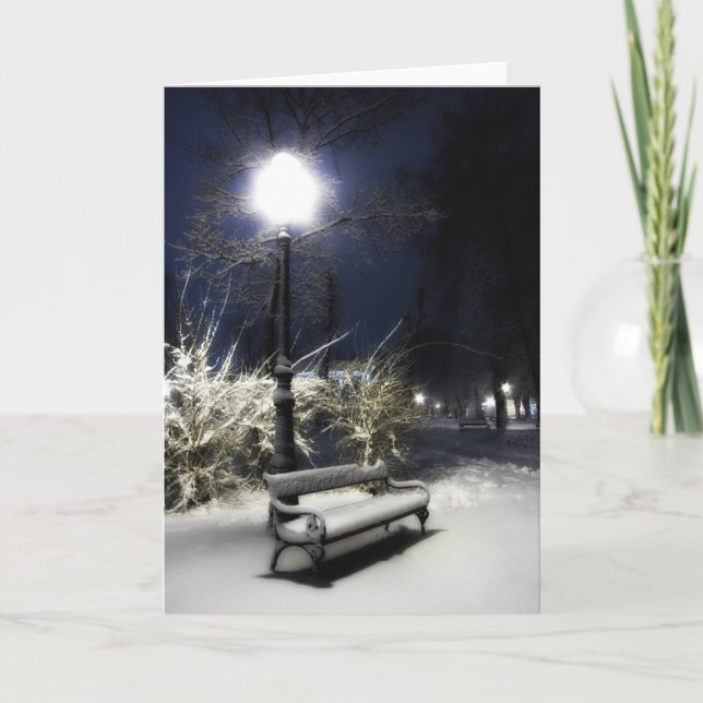 Cartão De Festividades Snowy Park (Frente)