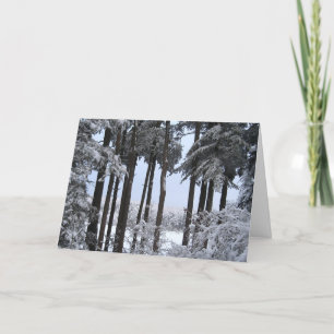 Cartão De Festividades Snowy Pines in Blue Light