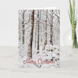 Cartão De Festividades Snowy Pocono Woodlands Christmas Card