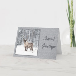 Cartão De Festividades Snowy Reindeer Saudações