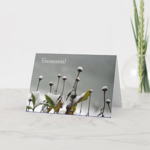 Cartão De Festividades Snowy Stems Christmas Card