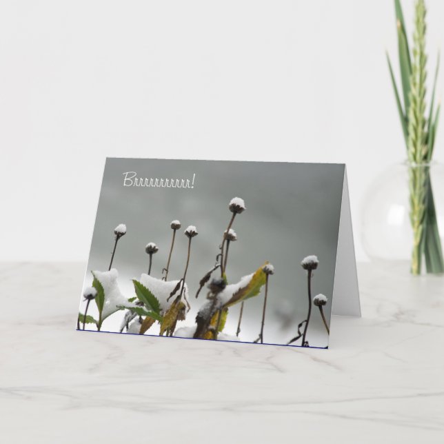 Cartão De Festividades Snowy Stems Christmas Card (Frente)