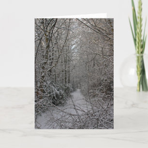 Cartão De Festividades Snowy Woods
