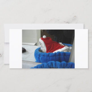 Cartão De Festividades Snuggler is Santa Paws