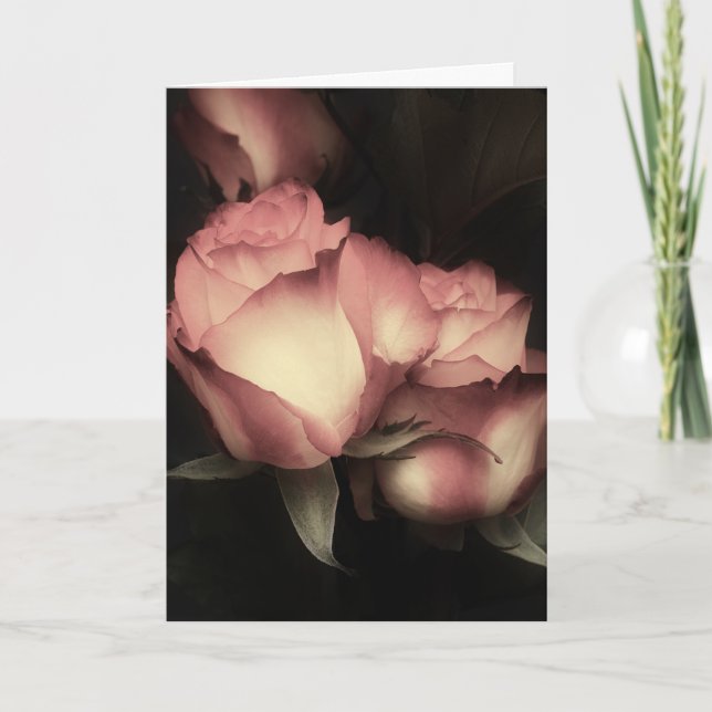 Cartão De Festividades Soft Glow Roses Valentine's Day Card (Frente)