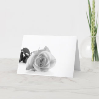 Cartão De Festividades Softly Love Comes