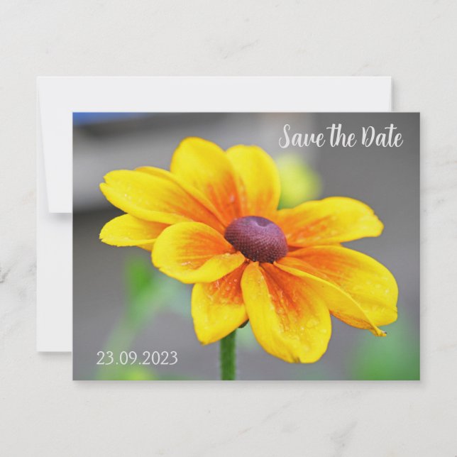 Cartão De Festividades Solteiro Elegante Laranja Amarelo Dahlia Flor Salv (Frente)