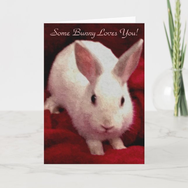 Cartão De Festividades Some Bunny Loves You Valentine's Day Card (Frente)