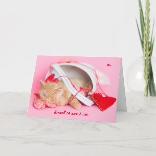 Cartão De Festividades Sonhando com meu gatinho (Frente)