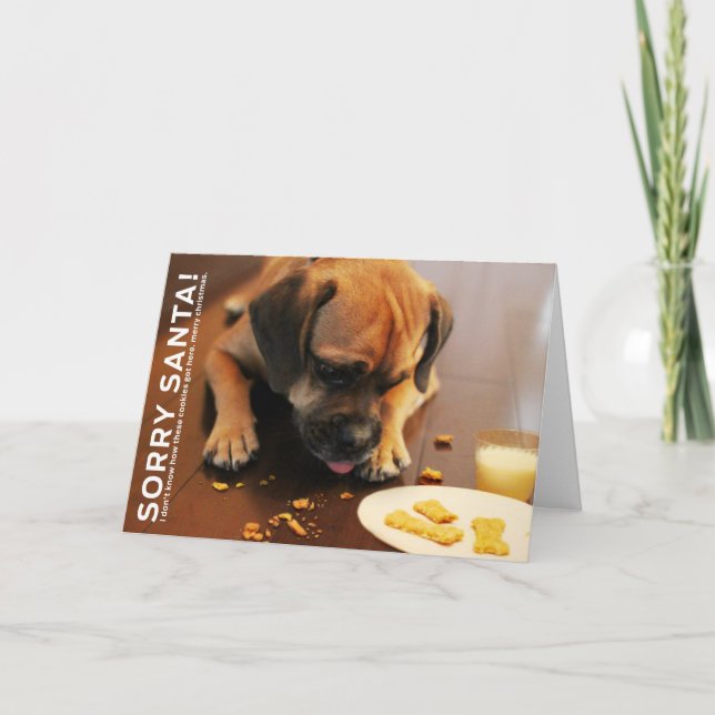 Cartão De Festividades Sorry Santa (Frente)