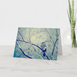 Cartão De Festividades Sparrow on the snowy branch