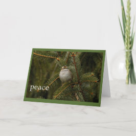 Cartão De Festividades sparrow peace holiday card