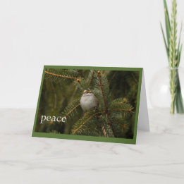 Cartão De Festividades sparrow peace holiday card