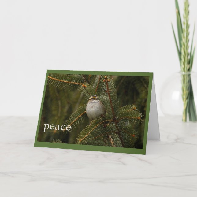 Cartão De Festividades sparrow peace holiday card (Frente)
