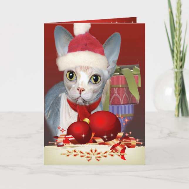 Cartão De Festividades Sphynx Kitten Christmas card (Frente)