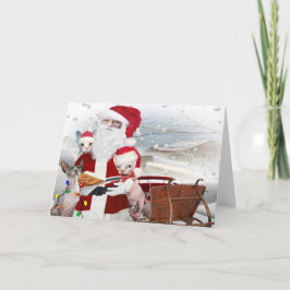 Cartão De Festividades Sphynx  Kitten Christmas With Santa