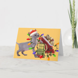 Cartão De Festividades Sphynx Merry Christmas Cards