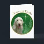 Cartão De Festividades Spinone Italiano Peace<br><div class="desc">Peace on Earth. Show your reason for the season with your Spinone Italiano in this unique dog design accented with green and gold. Goes great on an ornament,  greeting card or sticker.</div>