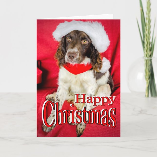 Cartão De Festividades Springer Christmas (Frente)