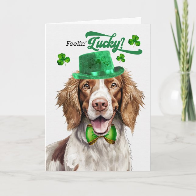Cartão De Festividades Springer Spaniel Feelin 'Dia de São Patrício Sortu (Frente)