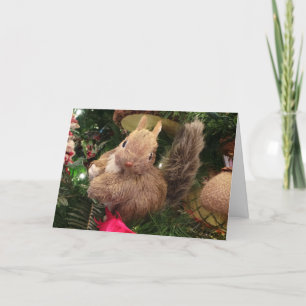Cartão De Festividades Squirrel Ornament Christmas Card 7x5 Frameable